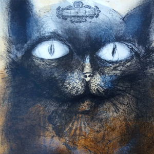 Perfil Alexandre Camnho